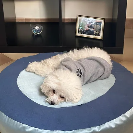 Il Duca Σπίτι διακοπών San Cataldo (Apulia)