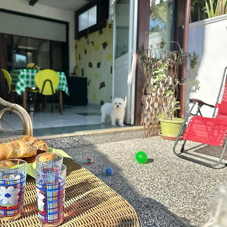 Il Duca Hébergement de vacances *